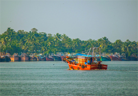 cochin